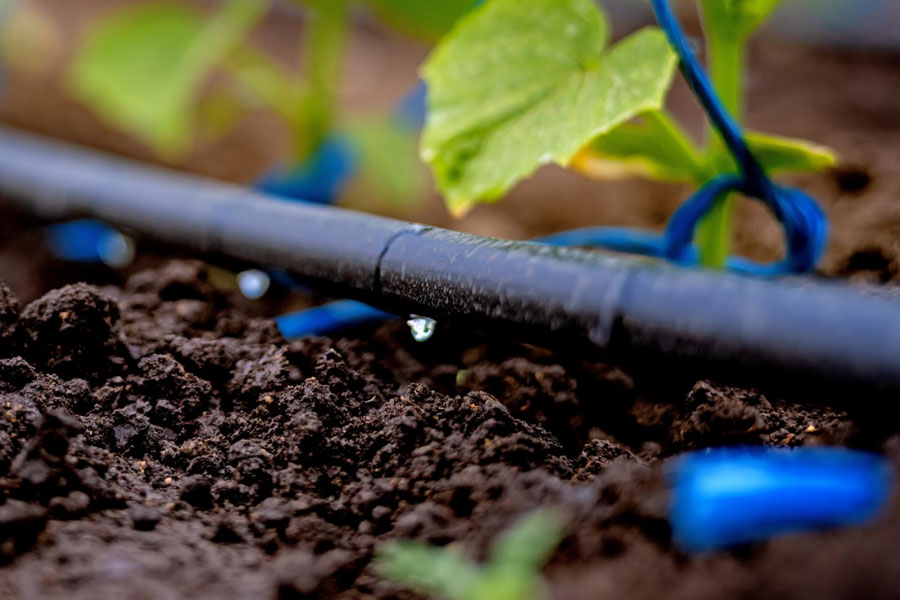 How High-Precision Drip Irrigation Pipe Lines Improve Water Efficiency in Modern Agriculture